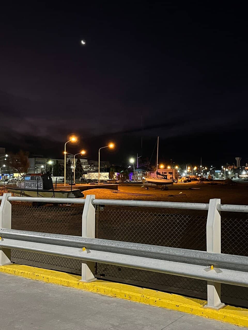 Whale Watching Opportunities