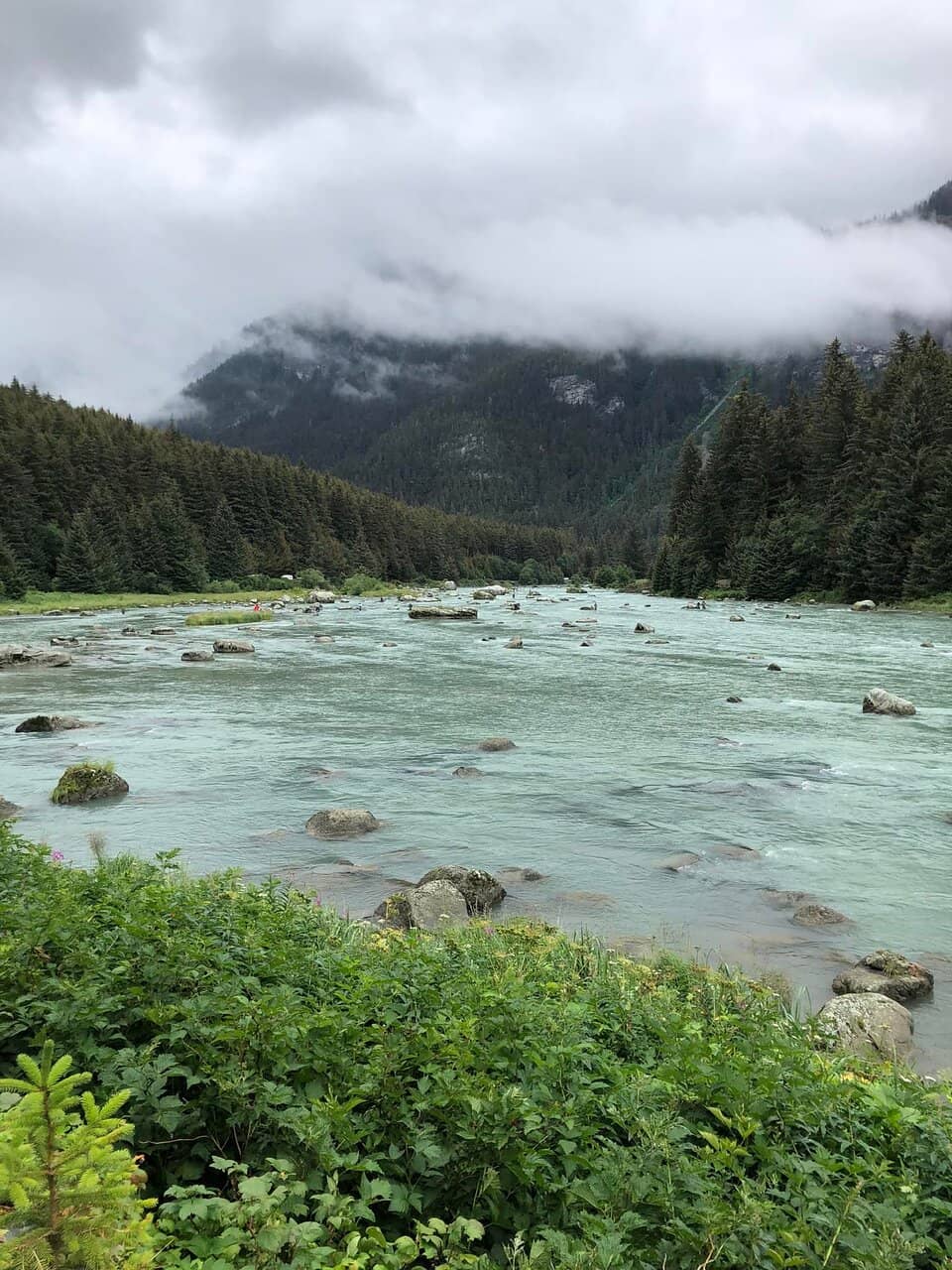 Chilkat River Jet Boat Adventure