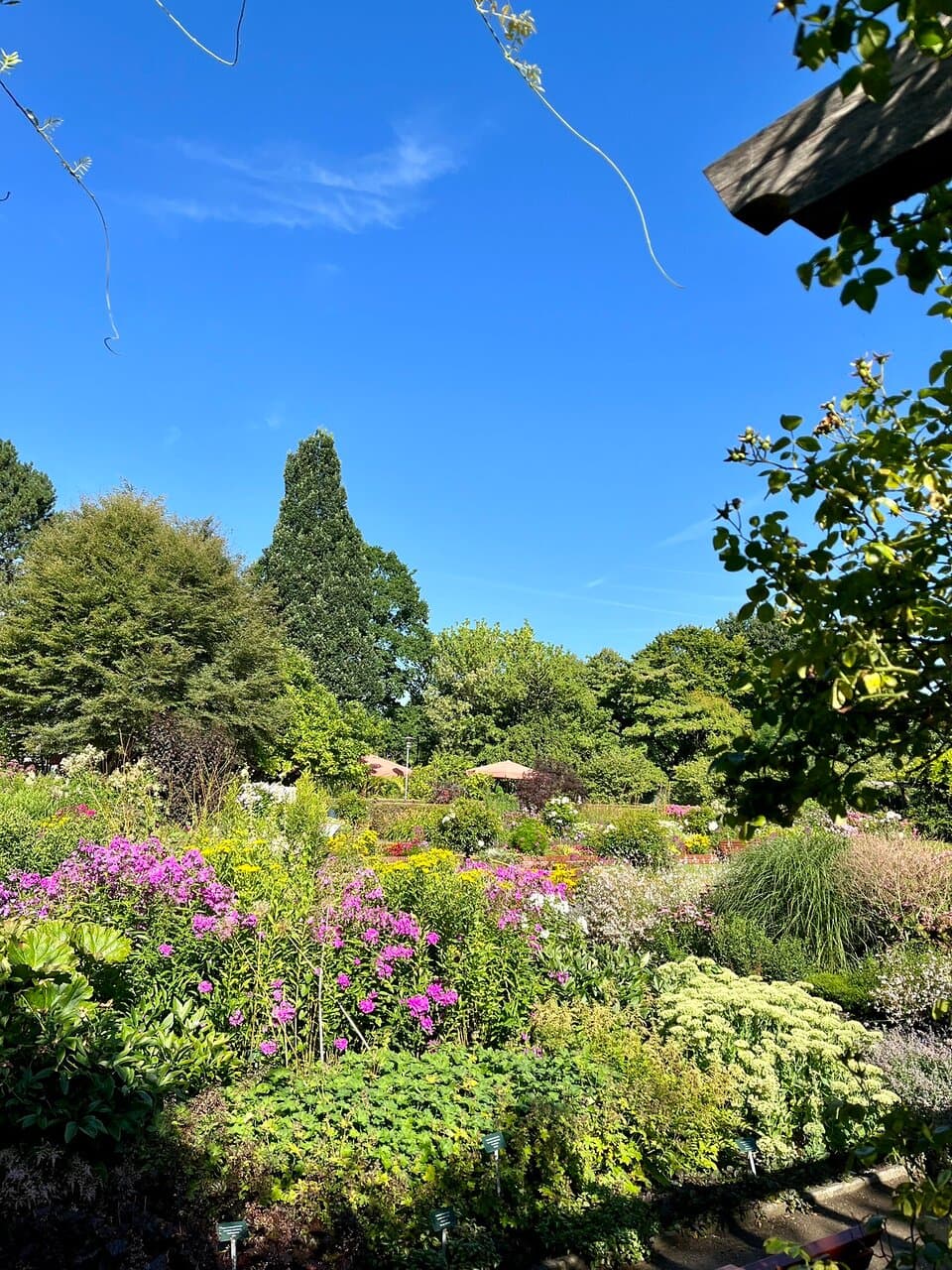 Botanical Garden Lübeck