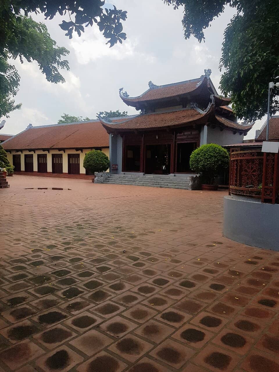 Lotus Ponds
