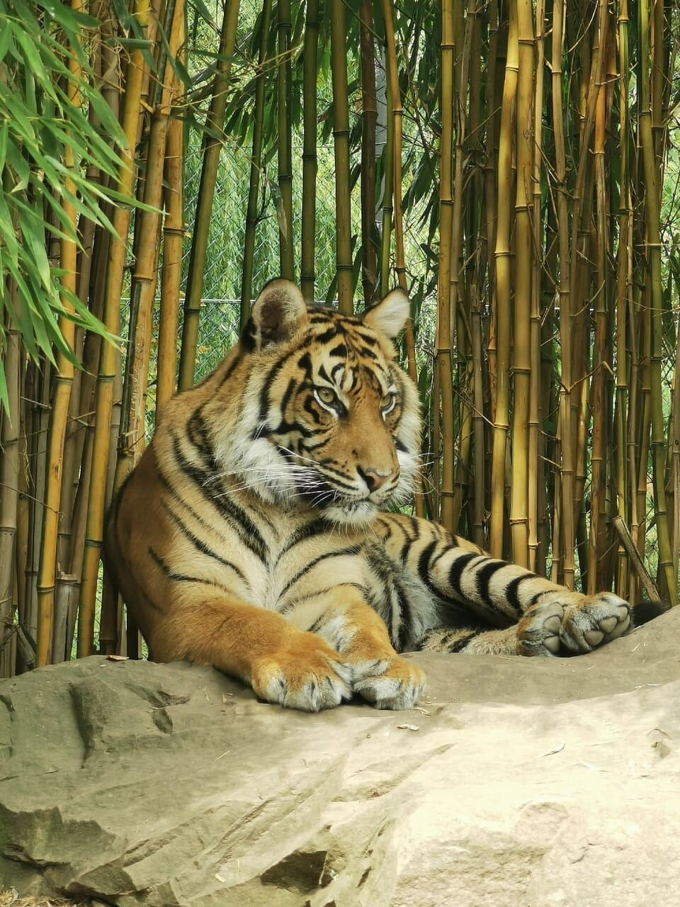 Heidelberg Zoo