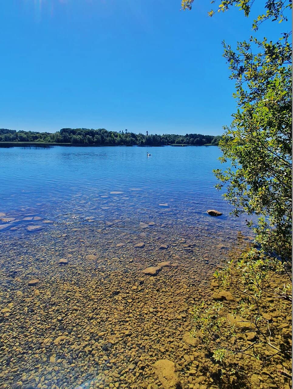 Fishing Hotspots