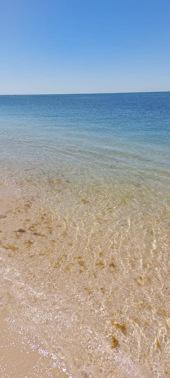 Tranquil Saltwater Pools