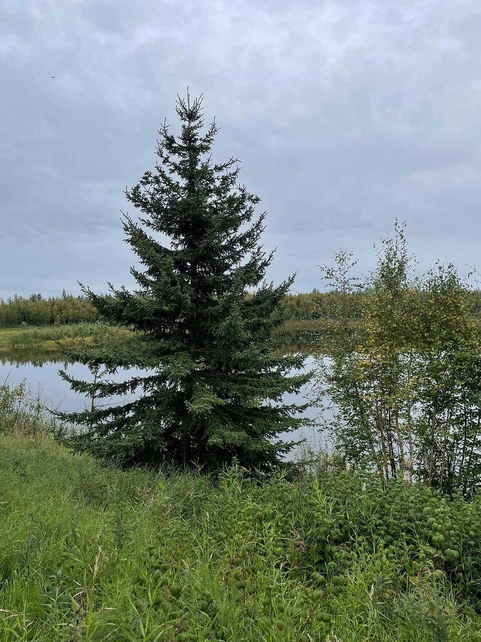 Wander Lake Trail