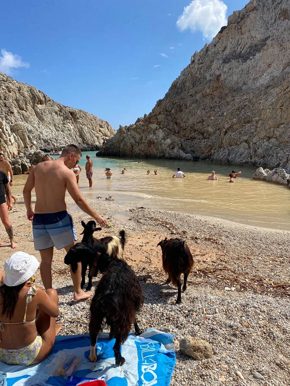 The Famous Goat Encounters