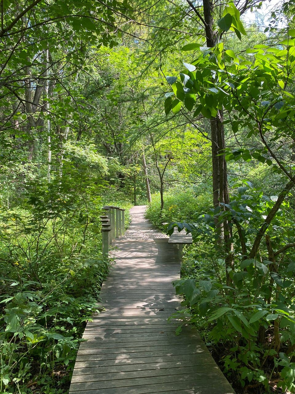 Walking Through the Eloise Butler Wildflower Garden and Bird Sanctuary