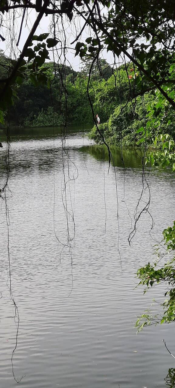 Themed Gardens & Trails