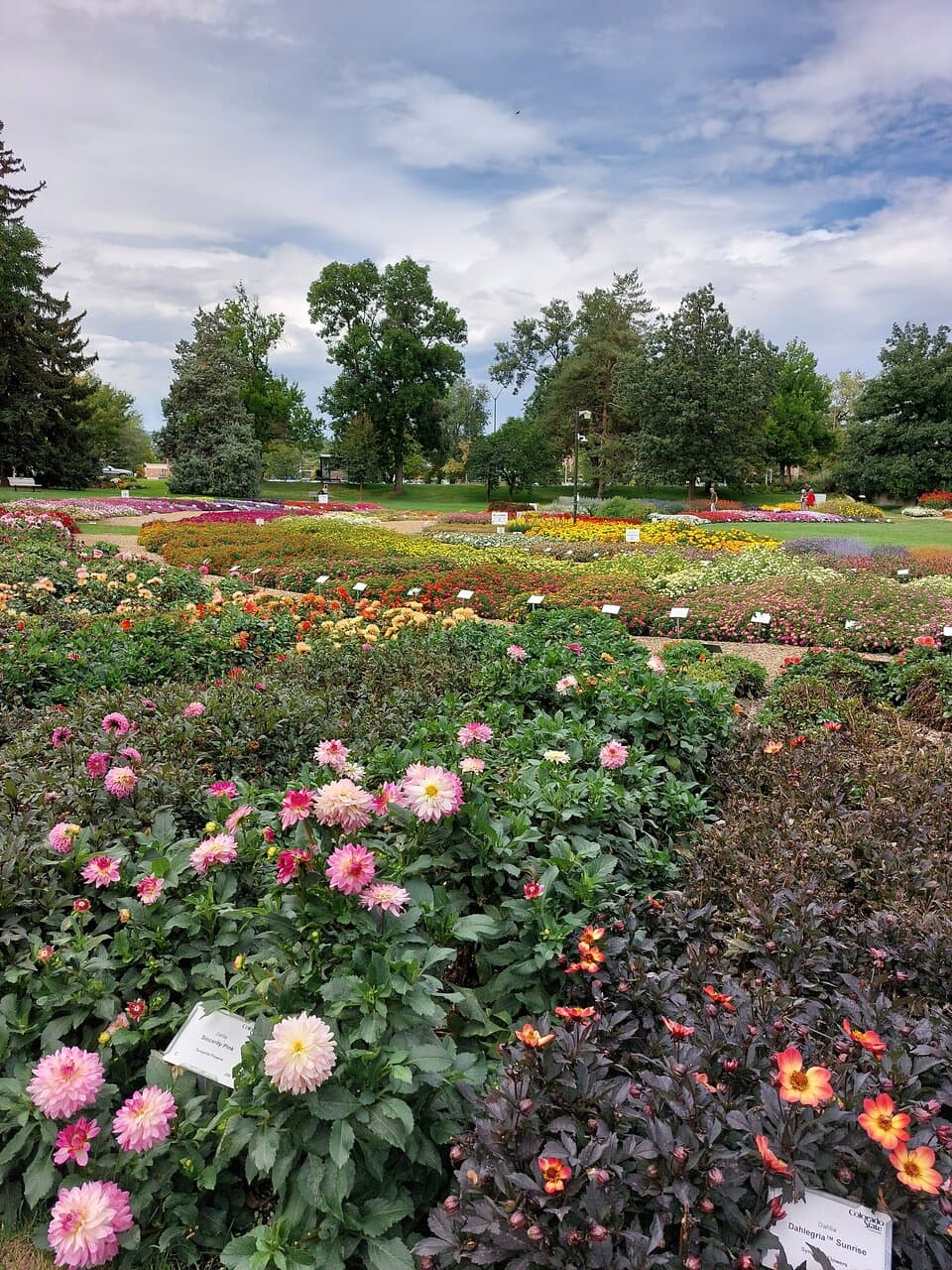 CSU Annual Flower Trial Garden