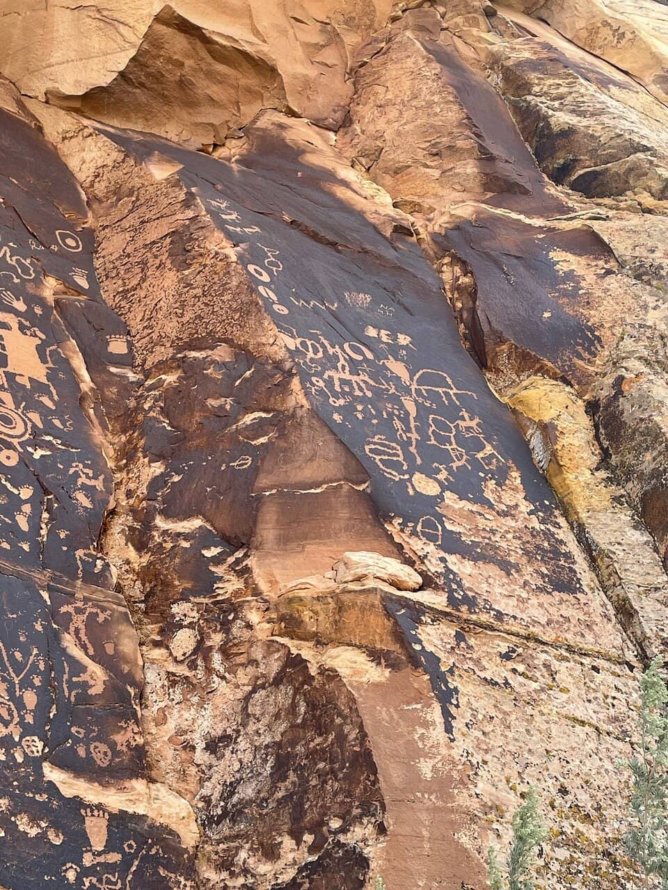 Interpretive Information