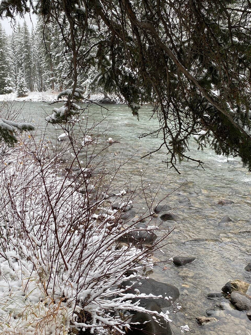 Gallatin River Lodge