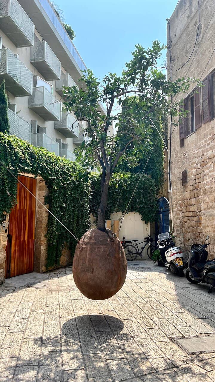 The Suspended Orange Tree
