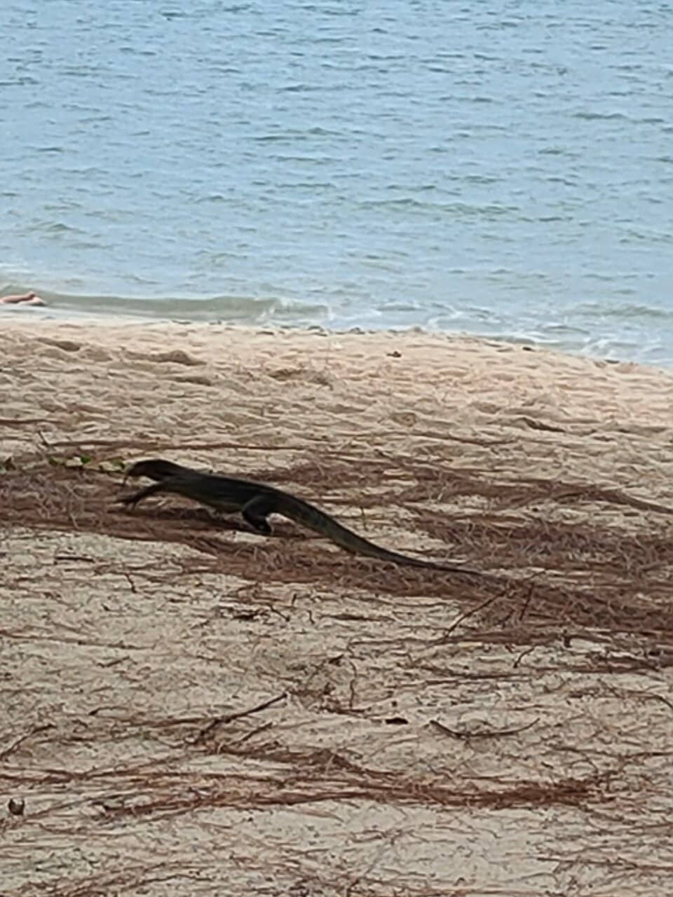 Batu Ferringhi Night Market