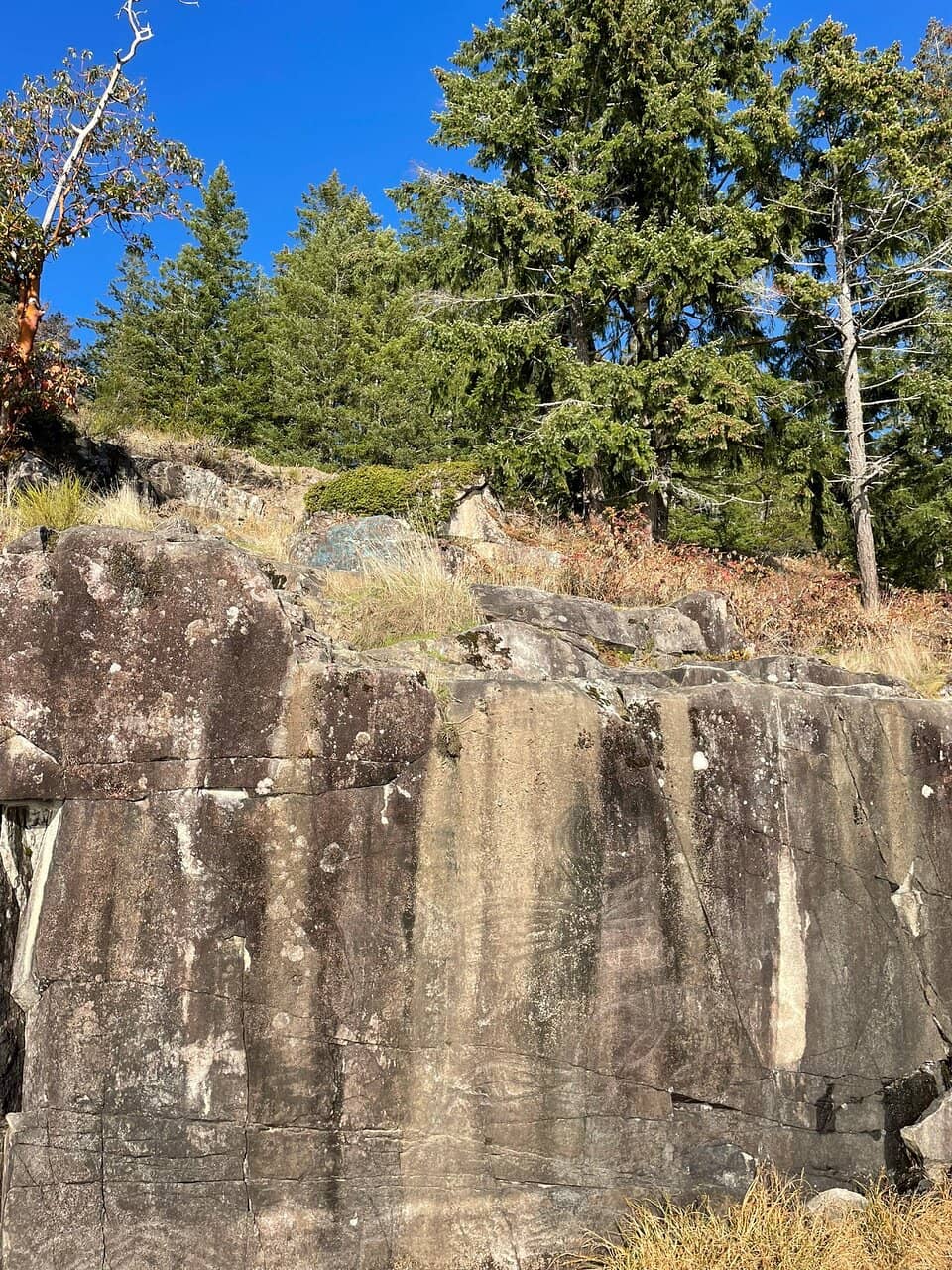 Sproat Lake Views