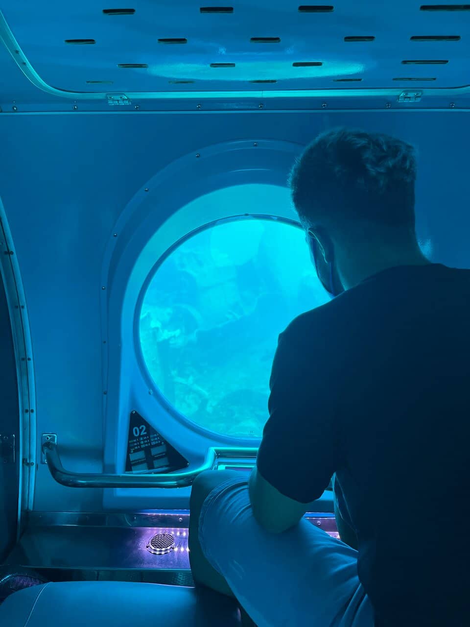 Underwater Marine Life