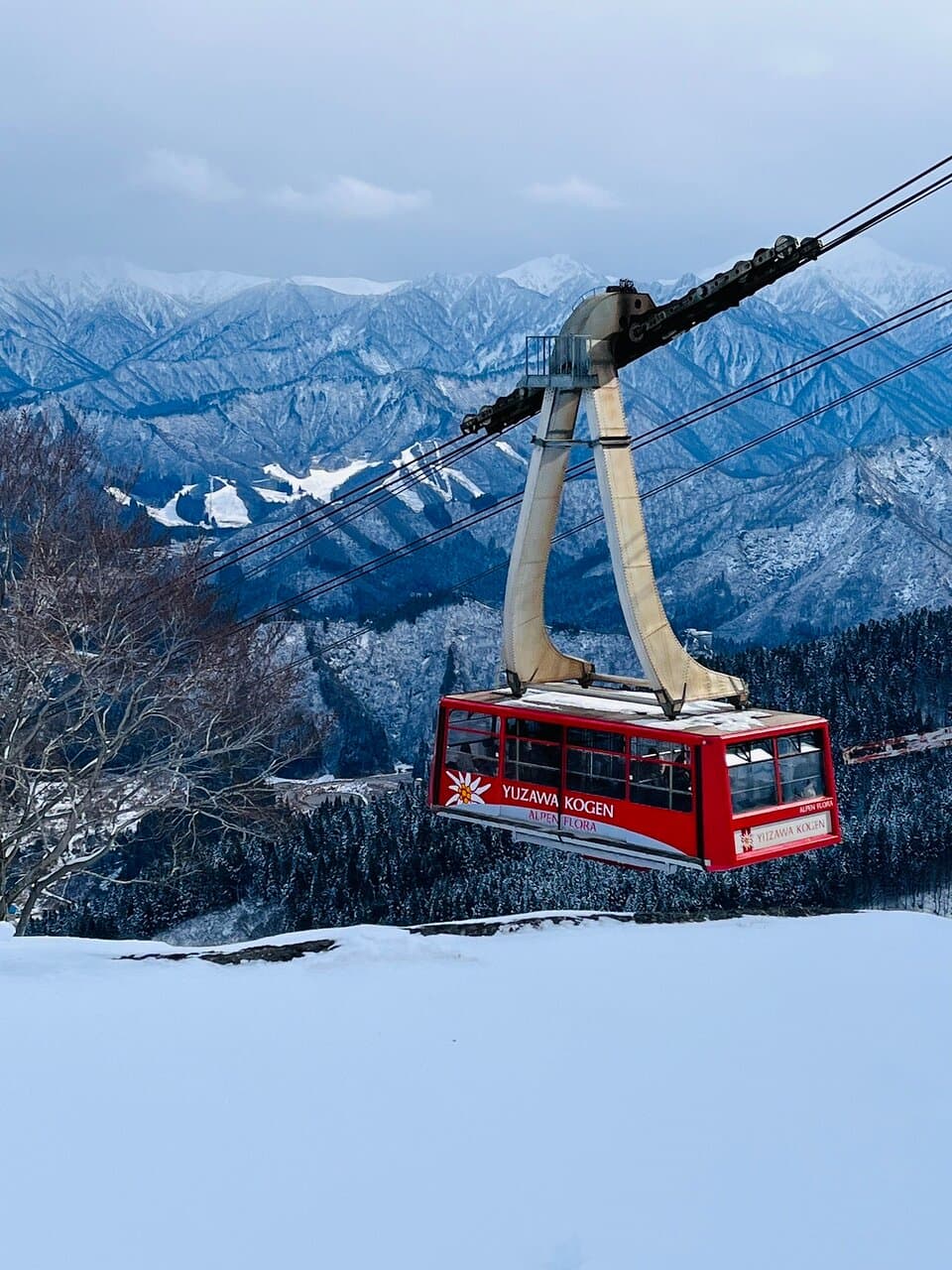 Tanigawadake Ropeway