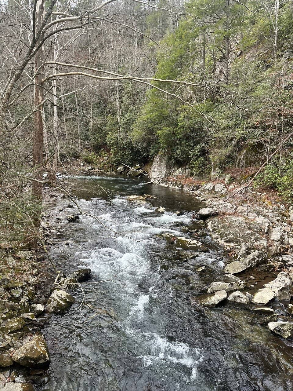 Cades Cove Loop Road