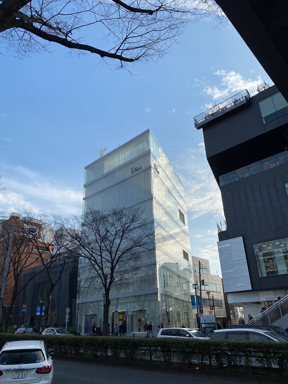 Vertical photo
