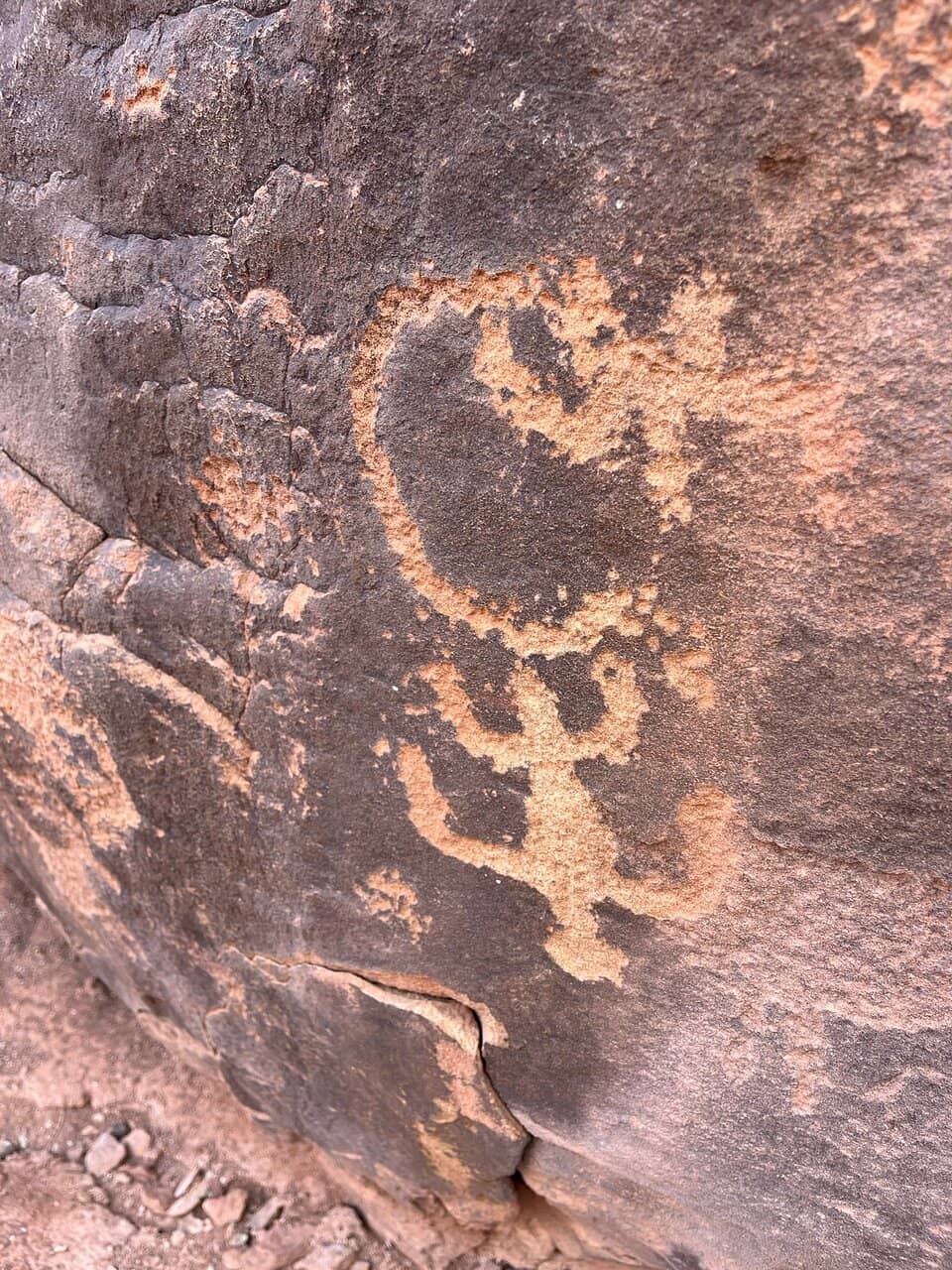 Ancient Rock Art Panels