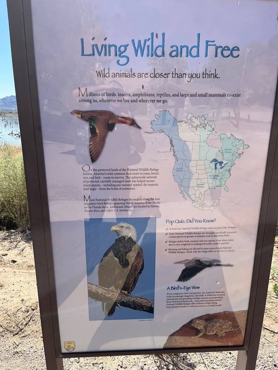 Desert Hiking Trails