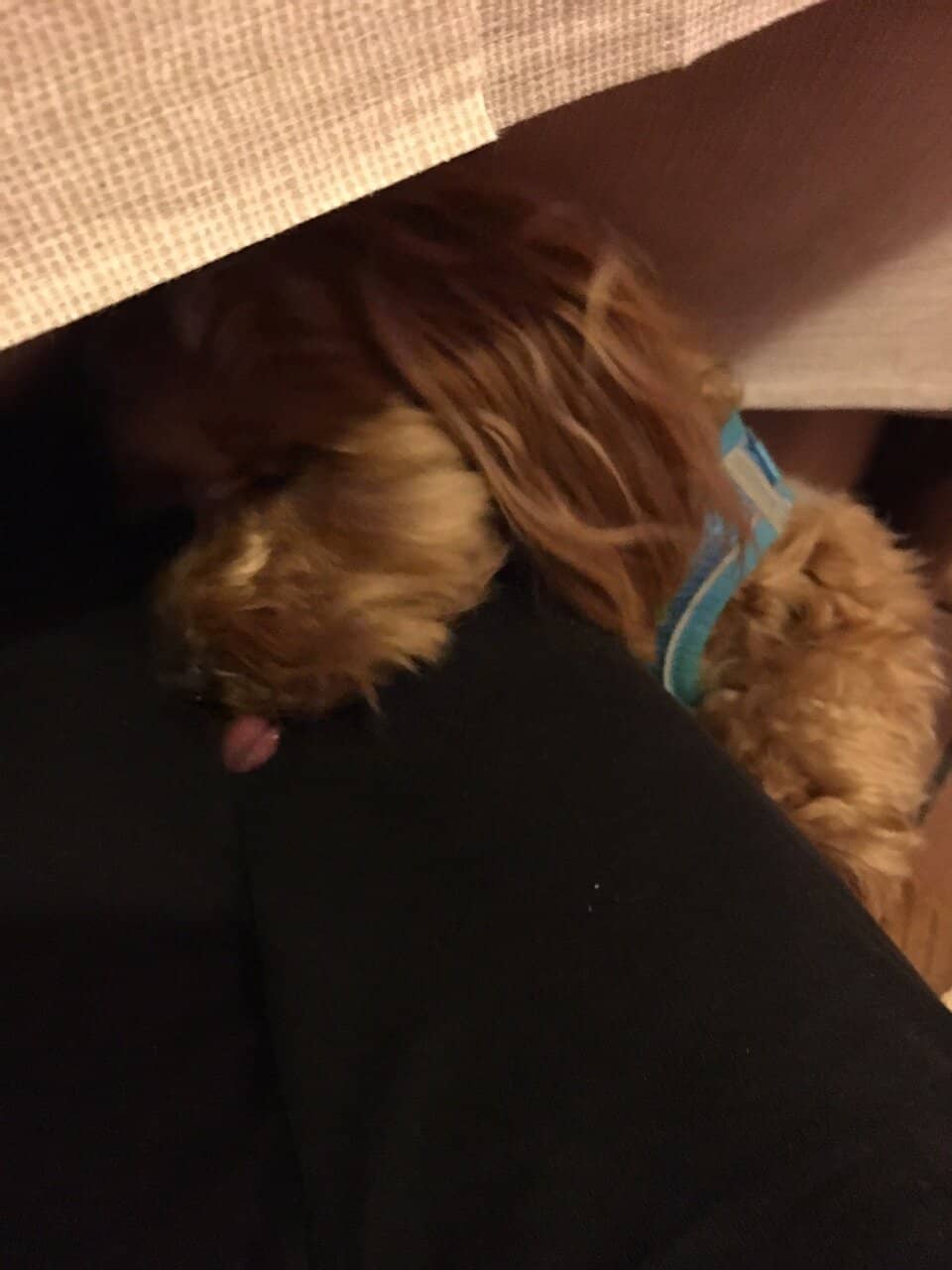 Authentic Umbrian Cuisine