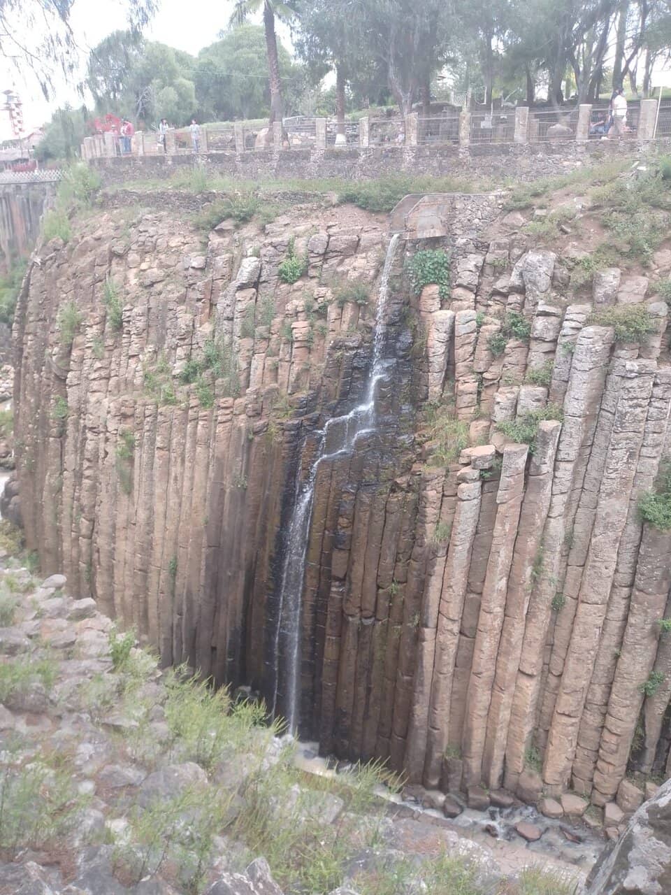 Vertical photo