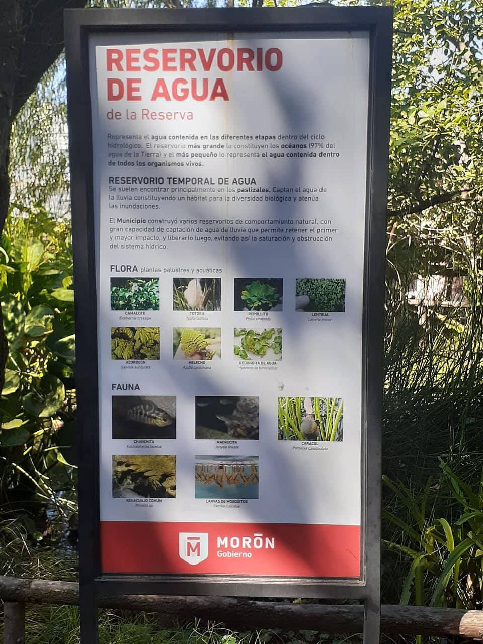 Snowy Landscape Views