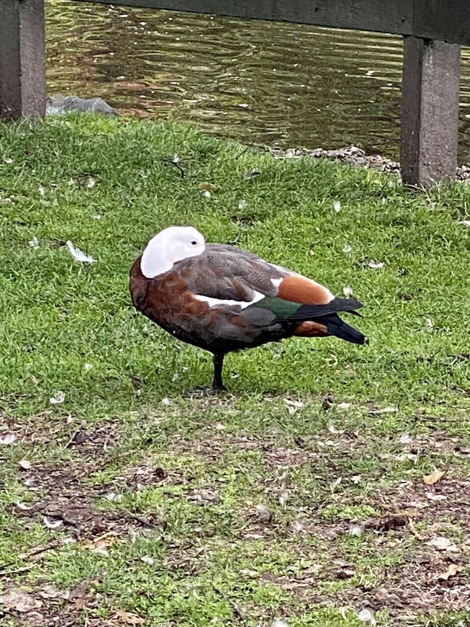 The Wonderland Sculpture