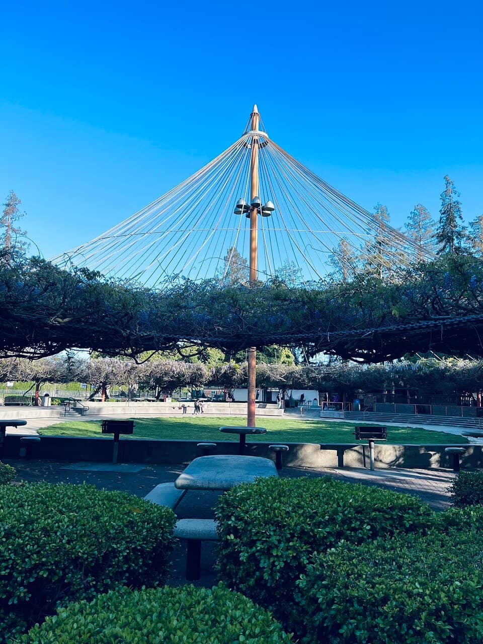 Central Park Library