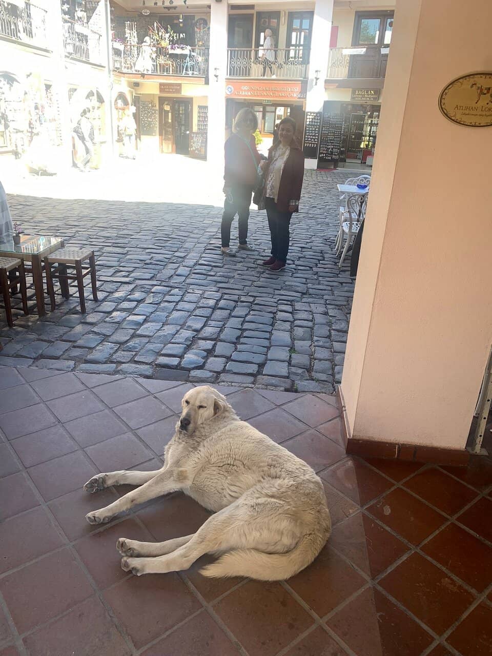 Colorful Ottoman Houses