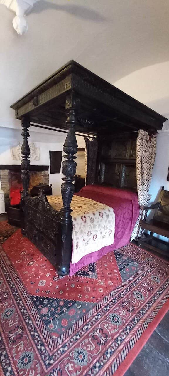 Ilfracombe Coastal Charm