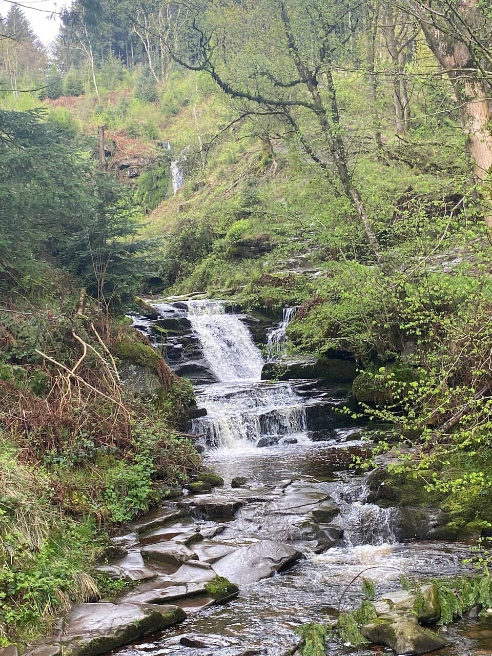 Wild Swimming Spots
