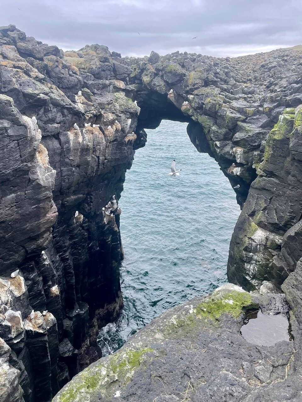 Arnarstapi-Hellnar Coastal Hike