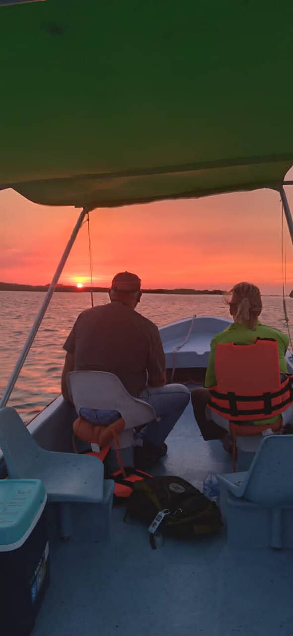 Crocodile Encounters