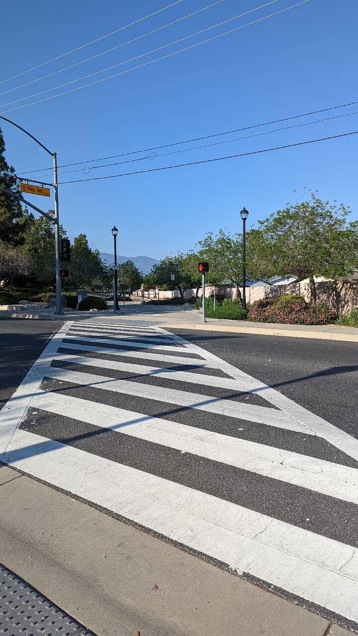 Pet-Friendly Paths