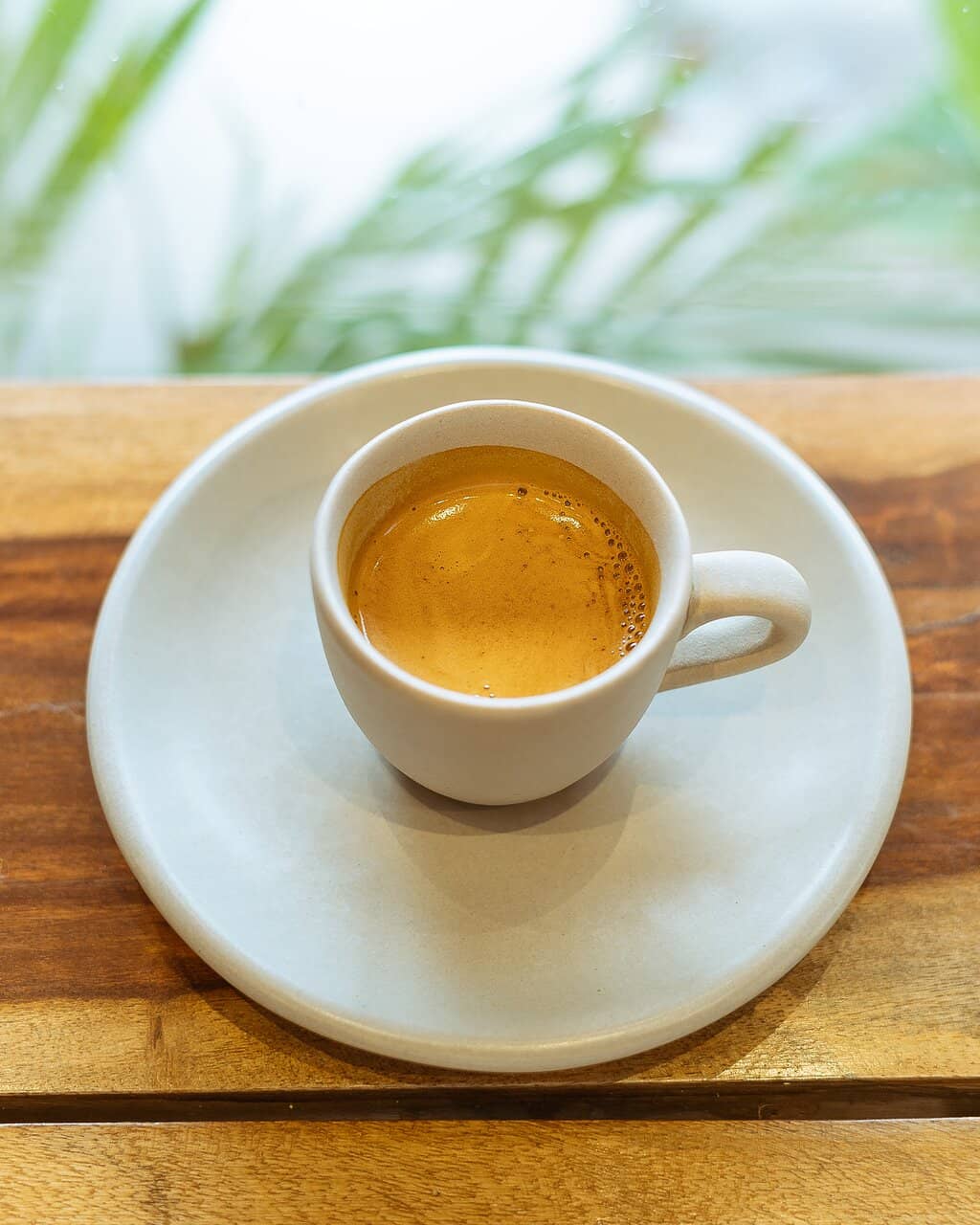 Delectable Bites & Sweet Treats