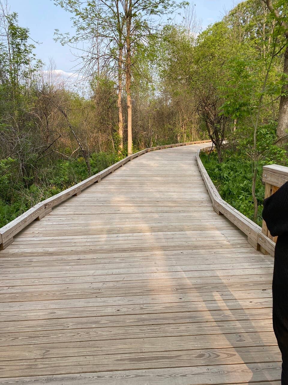 Clinton River Boardwalk