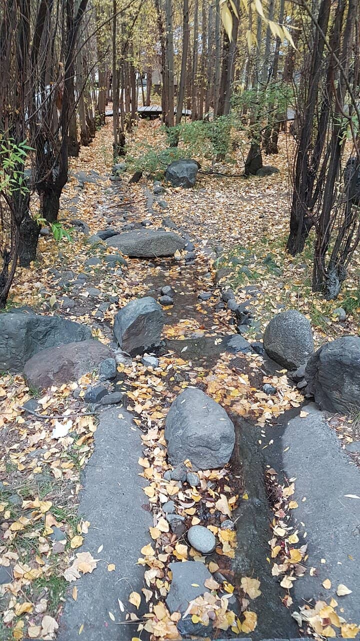 Live Music Spectacles