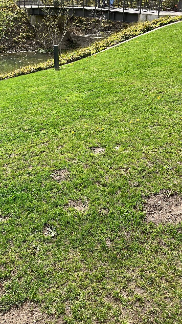 Medicinal Plant Collection