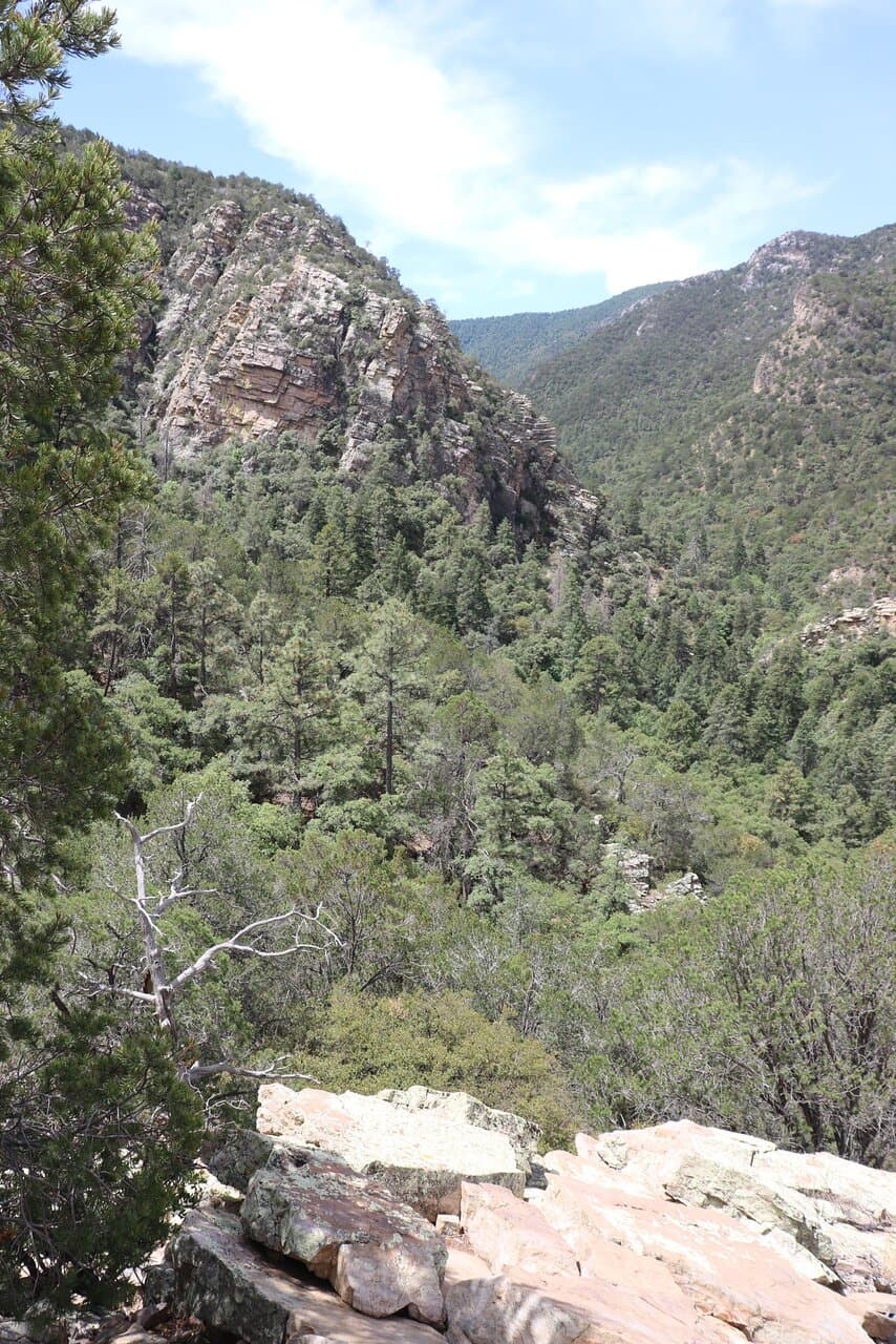 Ramsey Canyon Preserve Sierra Vista Arizona