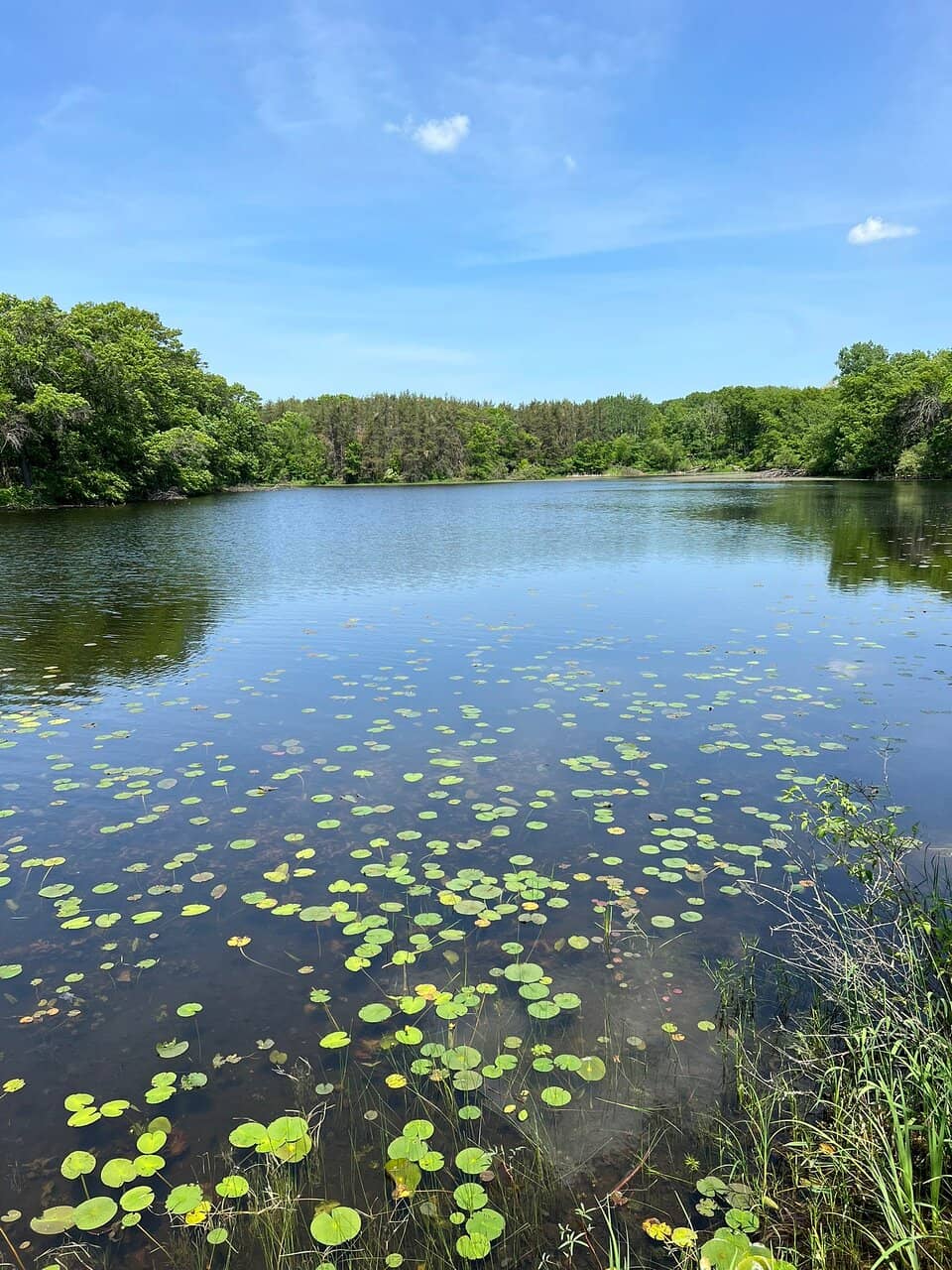 Abundant Wildlife Sightings