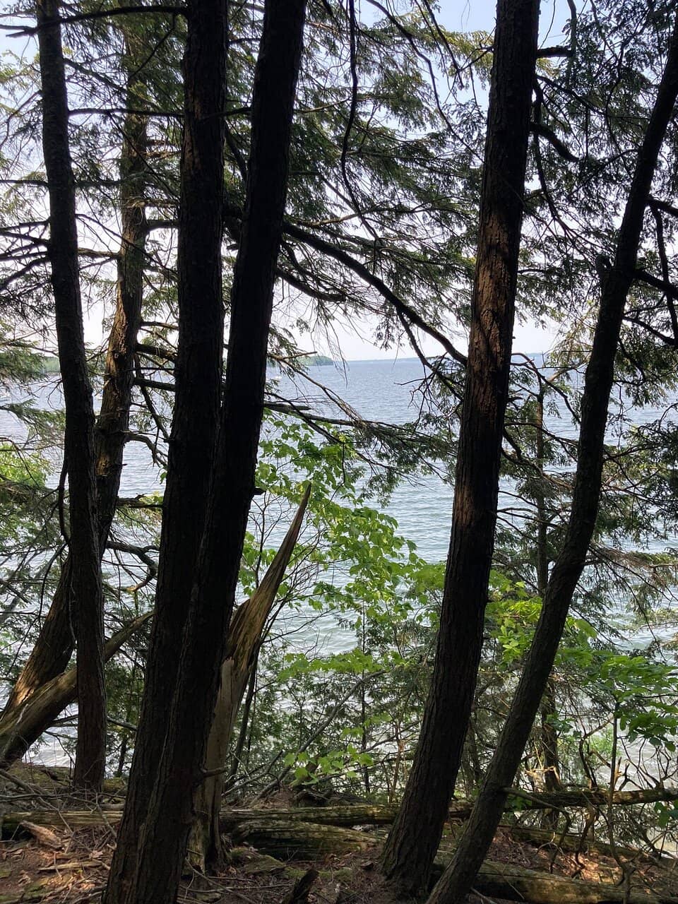 Allen Hill Trail