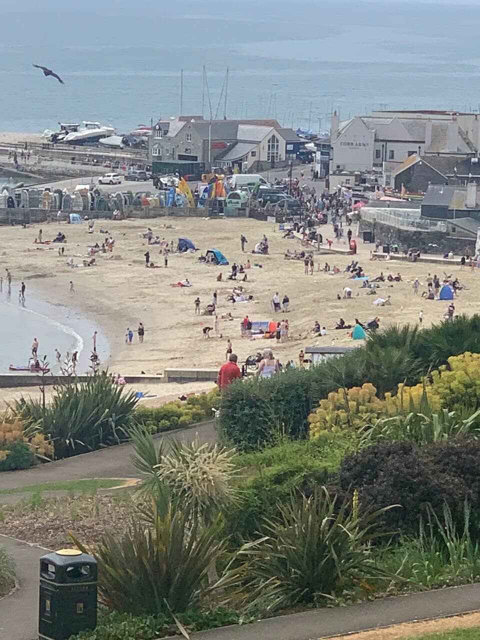 Family Fun Zone