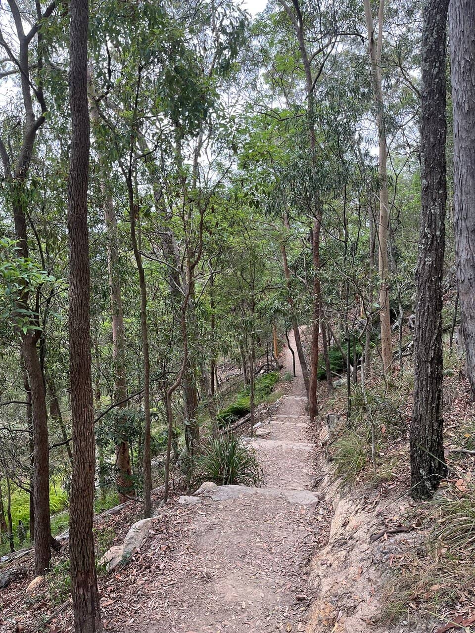Bushwalking Trails