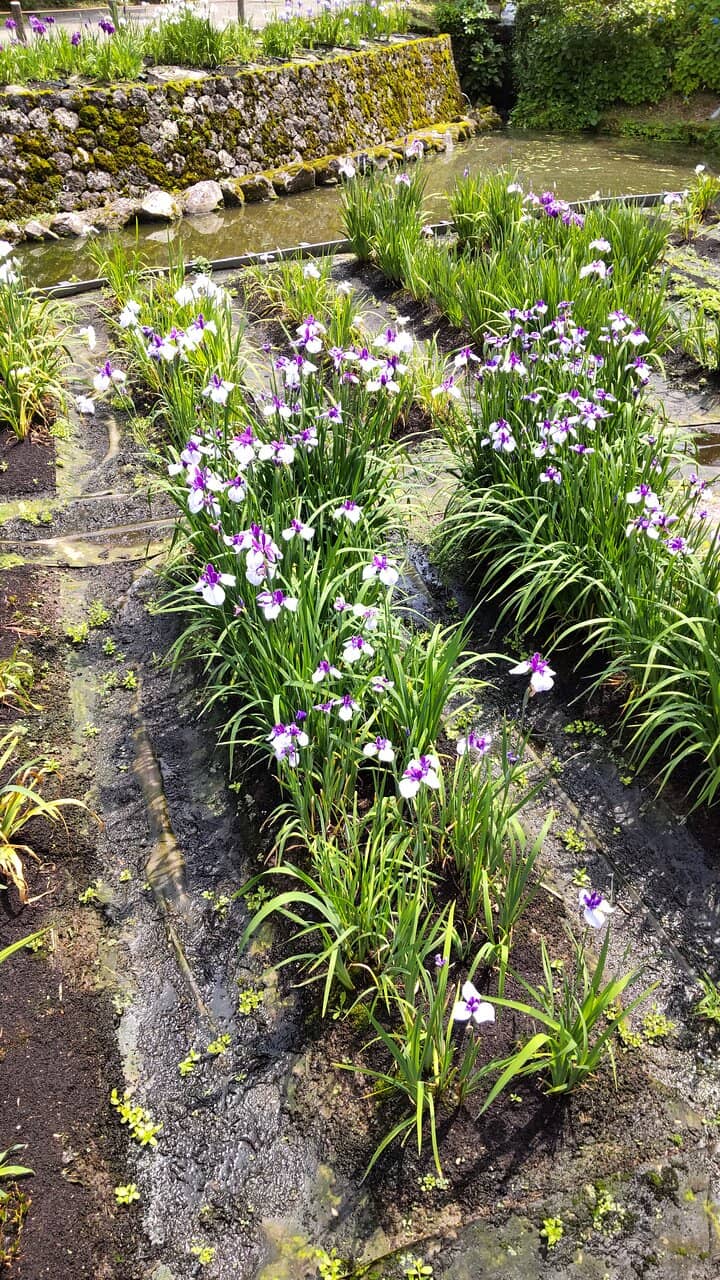 Panoramic City Views