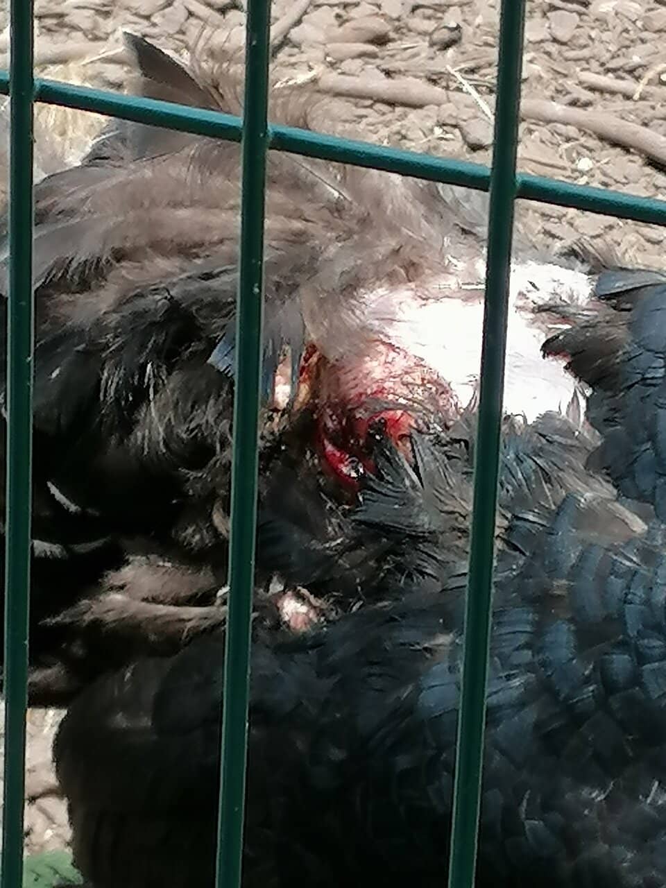 Sculptures and Monuments