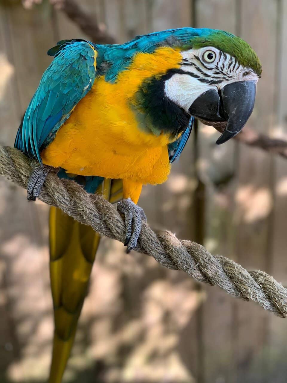 Tranquil Woodland Trails