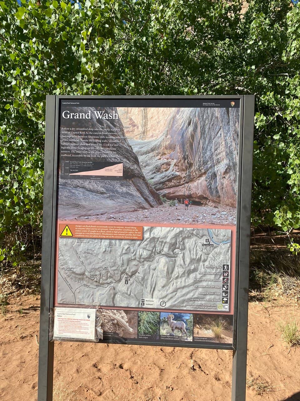 Cassidy Arch Trail Junction