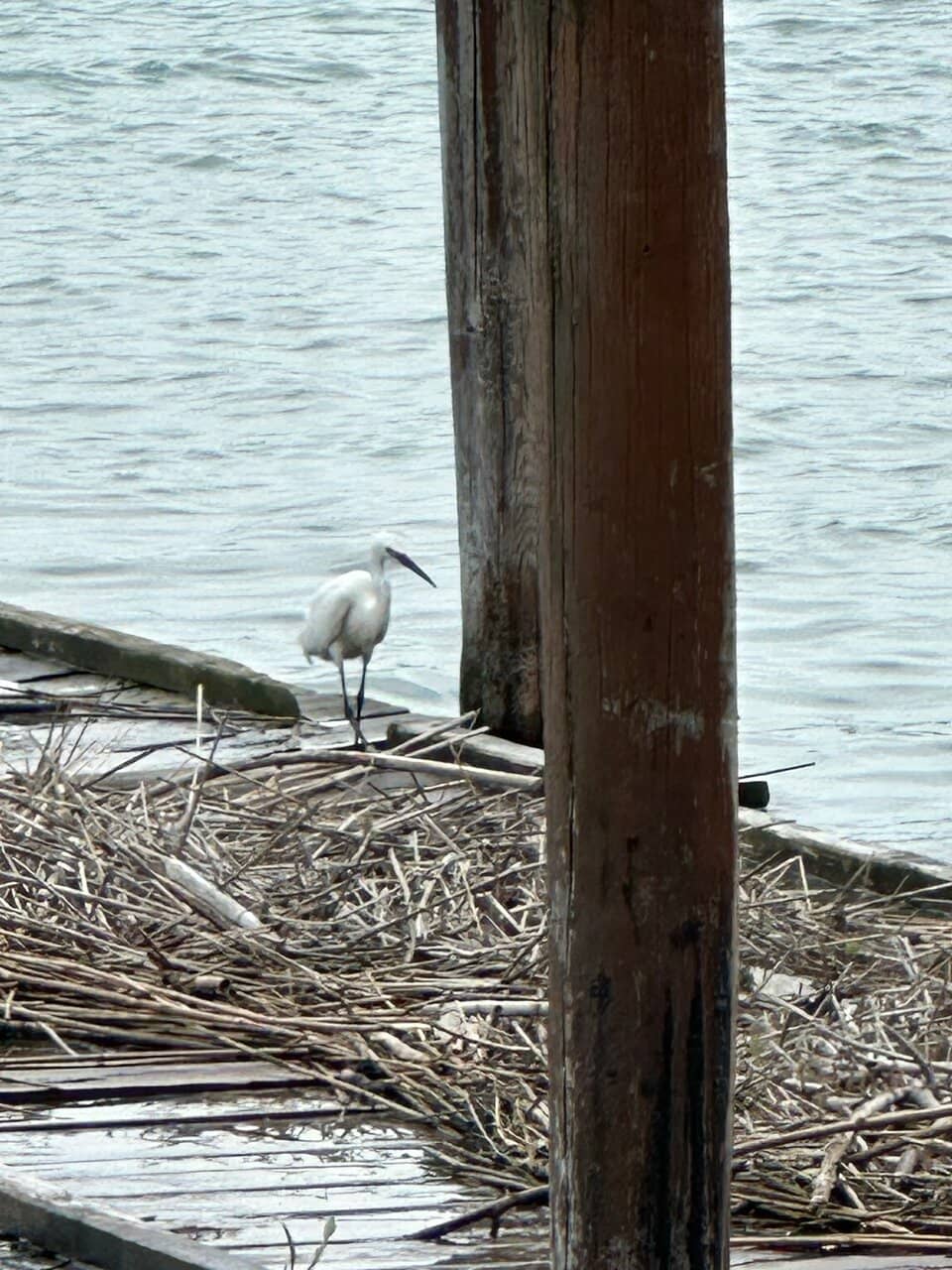 Colorful Historic Center