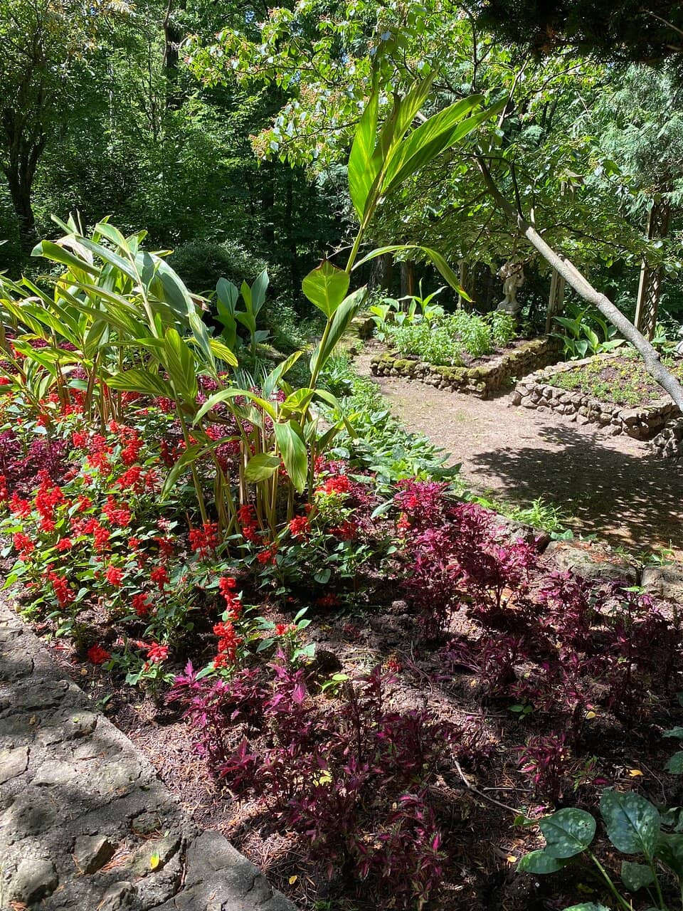 The Japanese-Inspired Shaded Garden