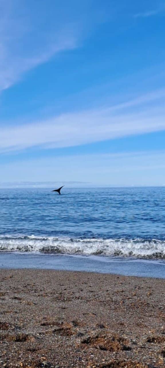 El Doradillo Protected Area